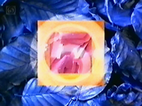 Channel 5 launch ident, 1997